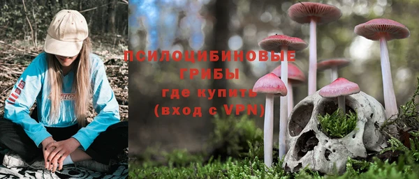 соль курить ск Армянск