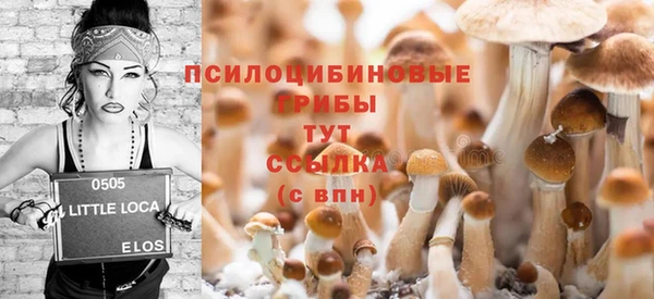 мескалин Арсеньев