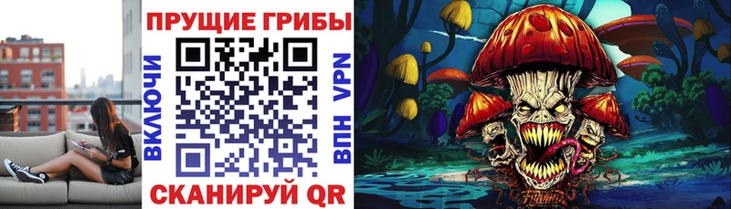 hydra зеркало  закладка  Зуевка  Псилоцибиновые грибы GOLDEN TEACHER 